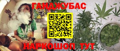 МДПВ Новодвинск