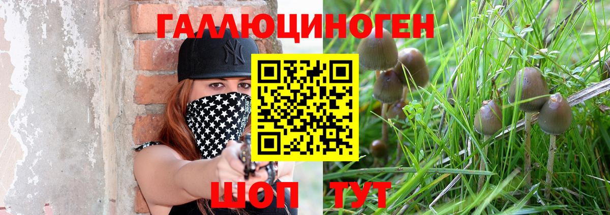 Полысаево  Псилоцибиновые грибы мухоморы  Вход с VPN 