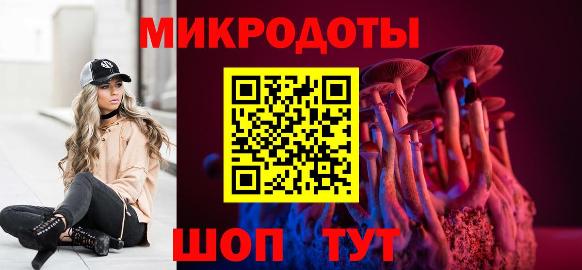 Галлюциногенные грибы Psilocybe Полысаево